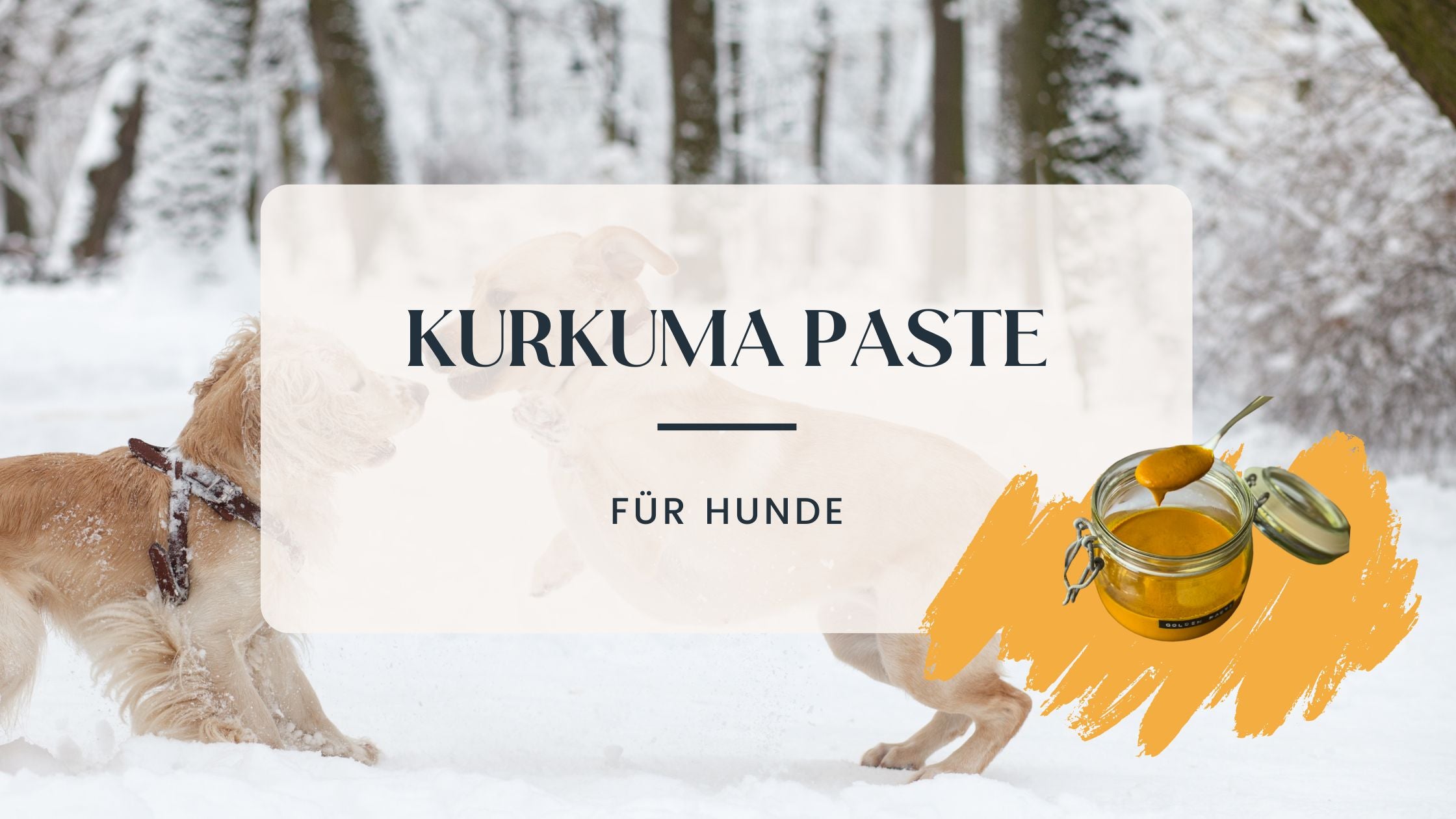 Zwei Hunde toben im Schnee waehrend im Vordergrund der Blogtitel “Kurkumapaste fuer Hunde” sowie ein Beispiel dafuer zu sehen ist