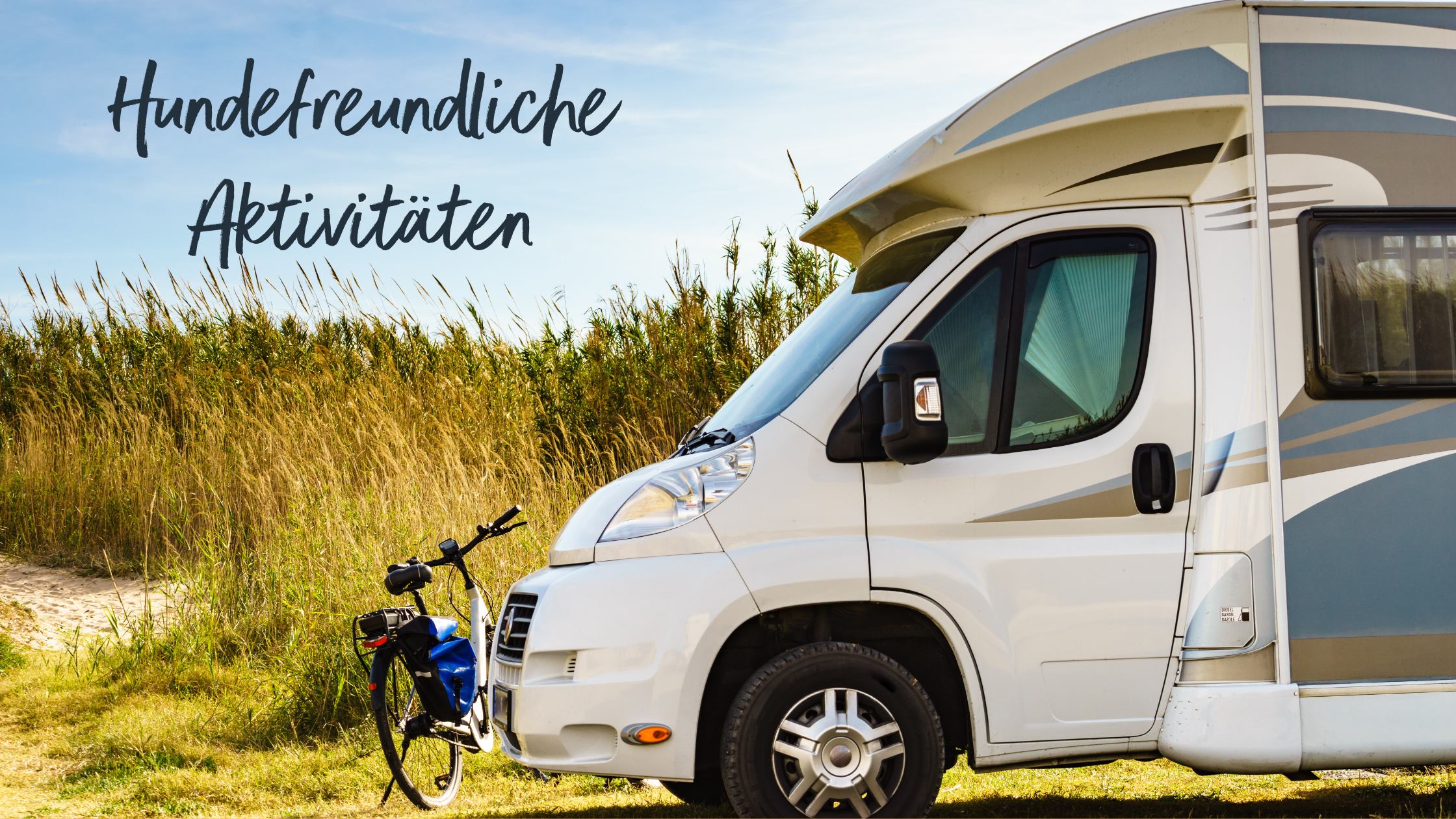 Im Vordergrund steht ein Camper an dem ein Fahrrad angelehnt ist, während im Hintergrund eine Duehnenlandschaft zu sehen ist