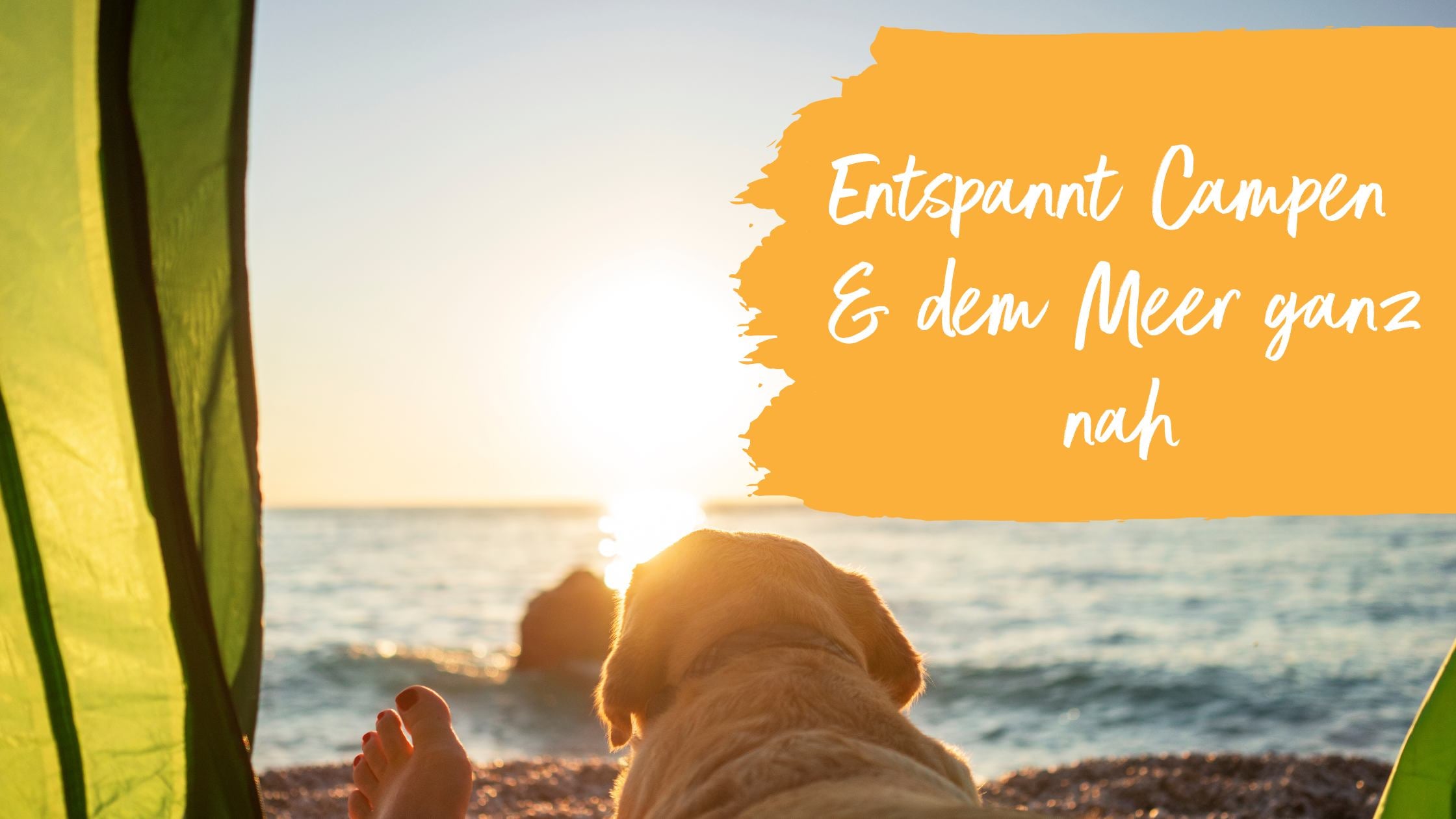 Hund schläft neben seinem Frauchen im Zelt am Meer