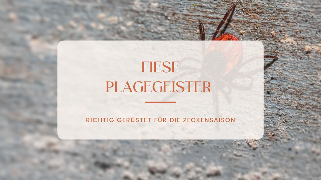 Blog: Fiese Plagegeister 05/24
