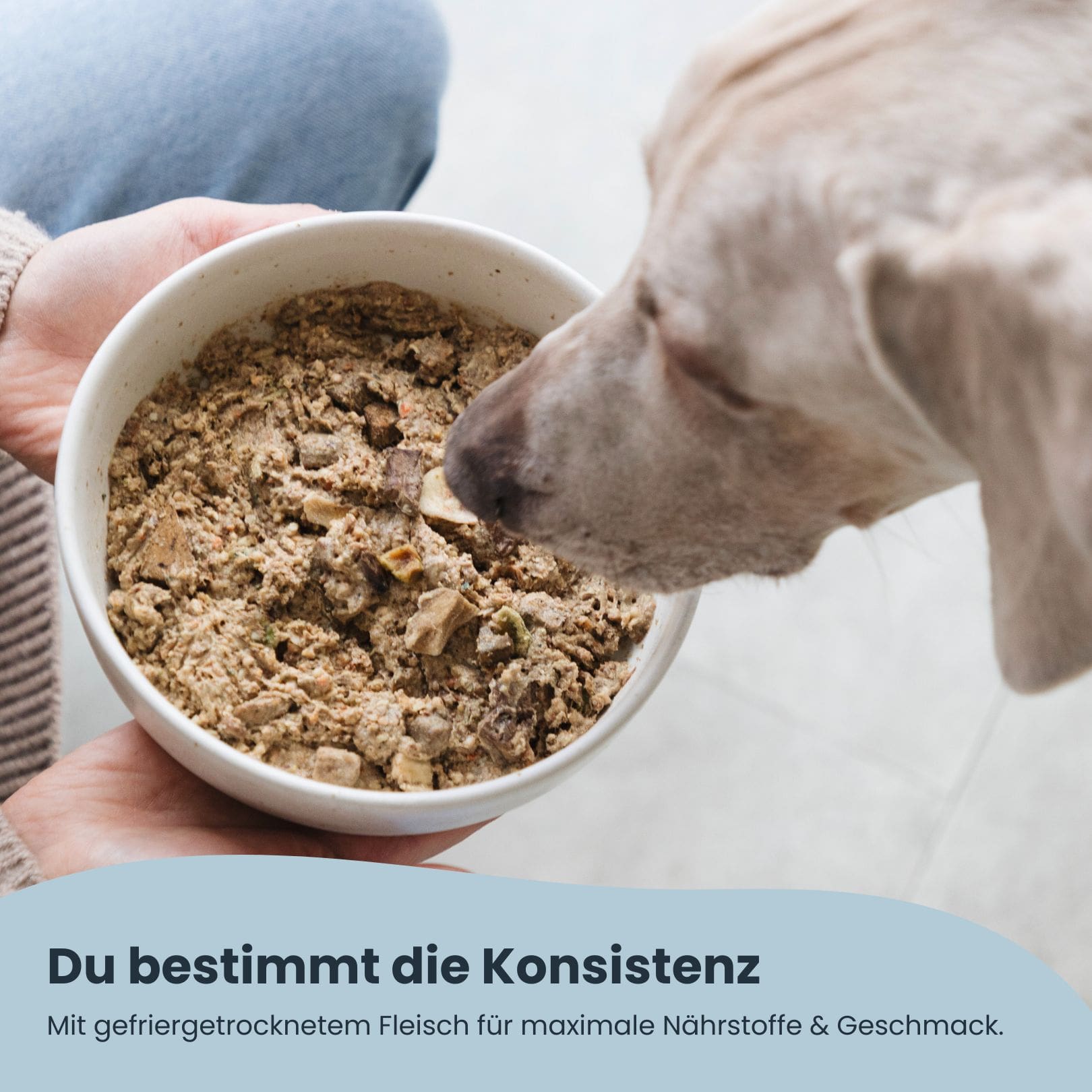 wolke 7 plus hundebett Hundebett WOLKE 7 - weiches Donut-Bett