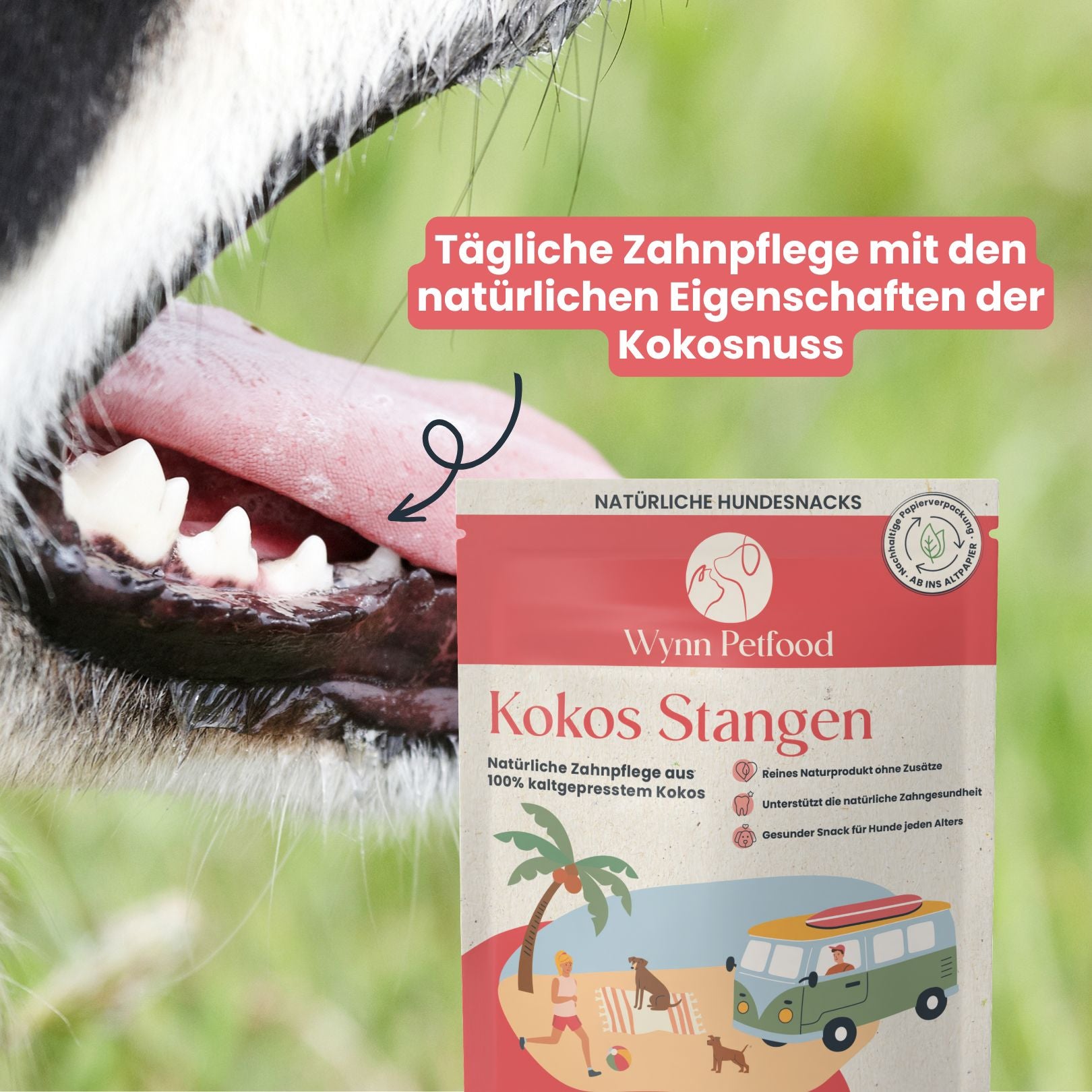 Kokos Stangen