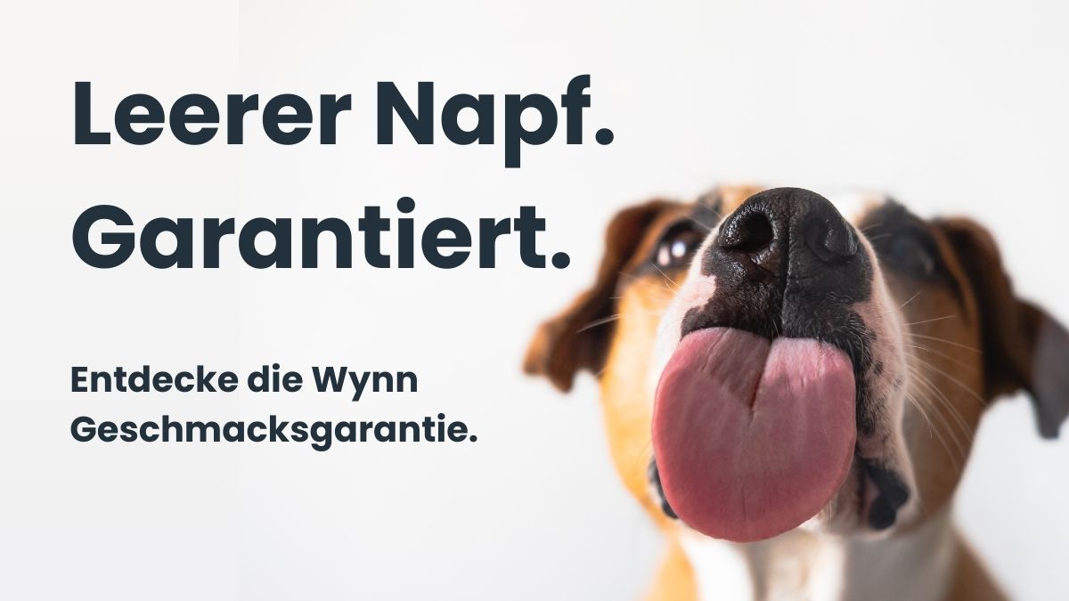 Leerer Napf - garantiert. Bild von einem Hund der über eine durchsichtige Scheibe schleckt.