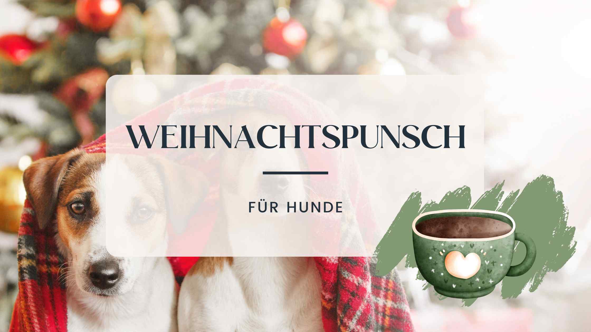 Zwei Hunde vor einem Weihnachtsbaum liegend eingekuschelt unter einer Decke