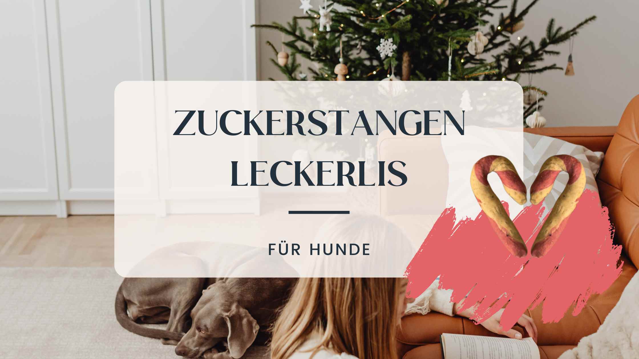 Bild zum Artikel 