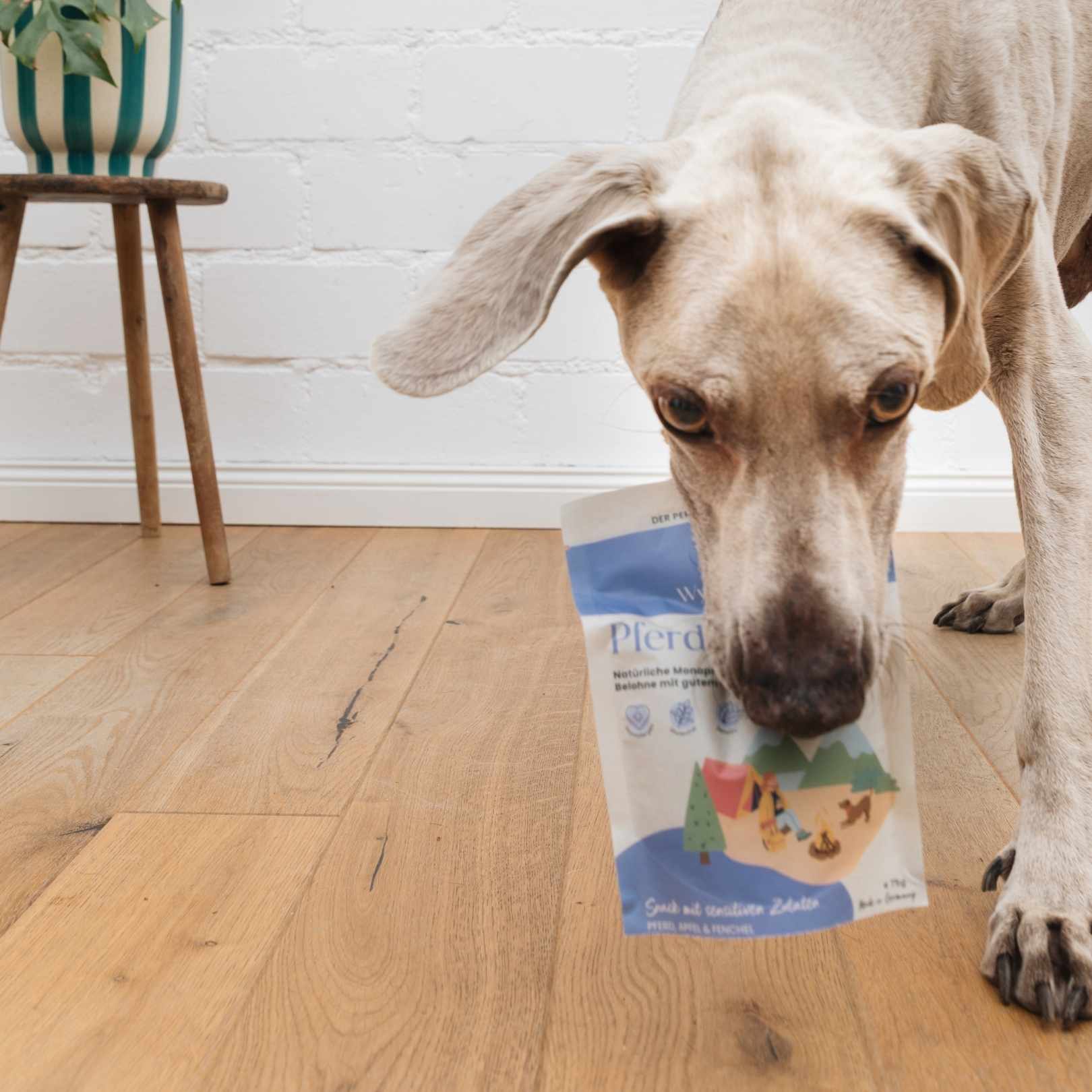 Süßer Dackel, davor eine Tüte der Hirschhappen Snacks