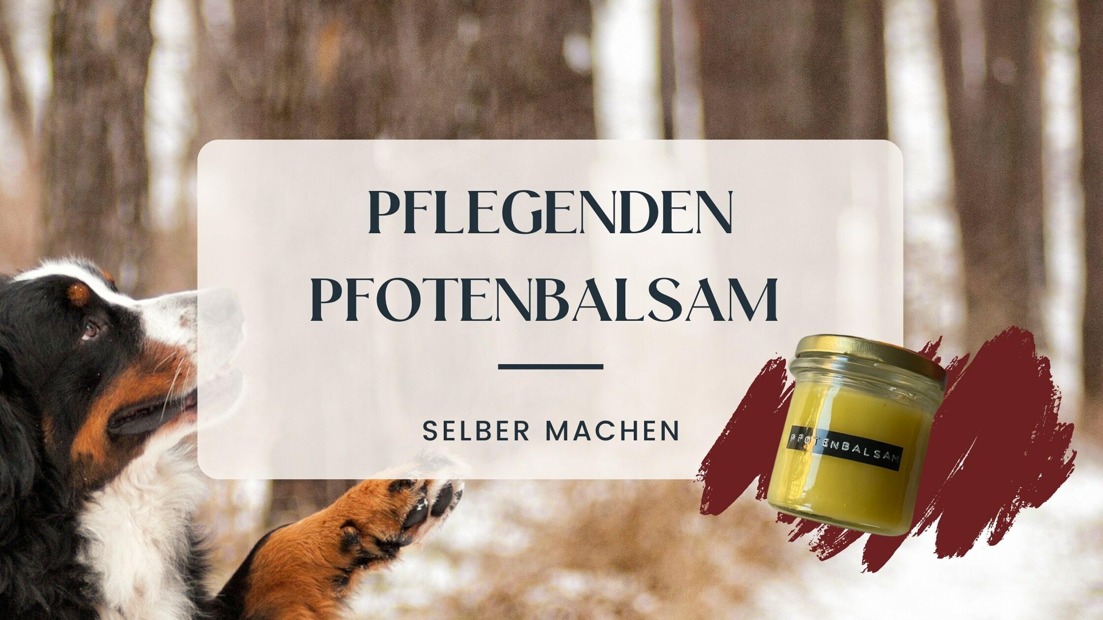 Bild zum Artikel 