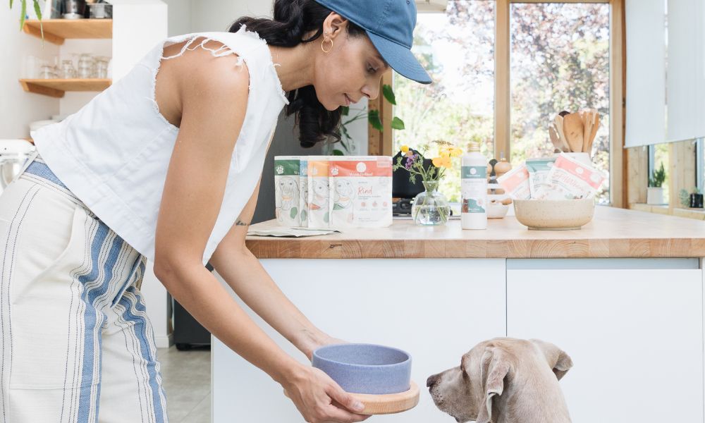 Grauer, großer Hund, der aus Napf frisst. Der Napf steht auf einer weißen Bank, daneben stehen 2 Futtertüten und eine Blume.