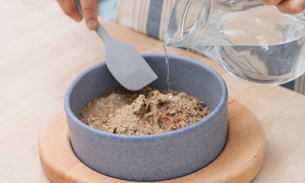 Grauer, großer Hund, der aus Napf frisst. Der Napf steht auf einer weißen Bank, daneben stehen 2 Futtertüten und eine Blume.