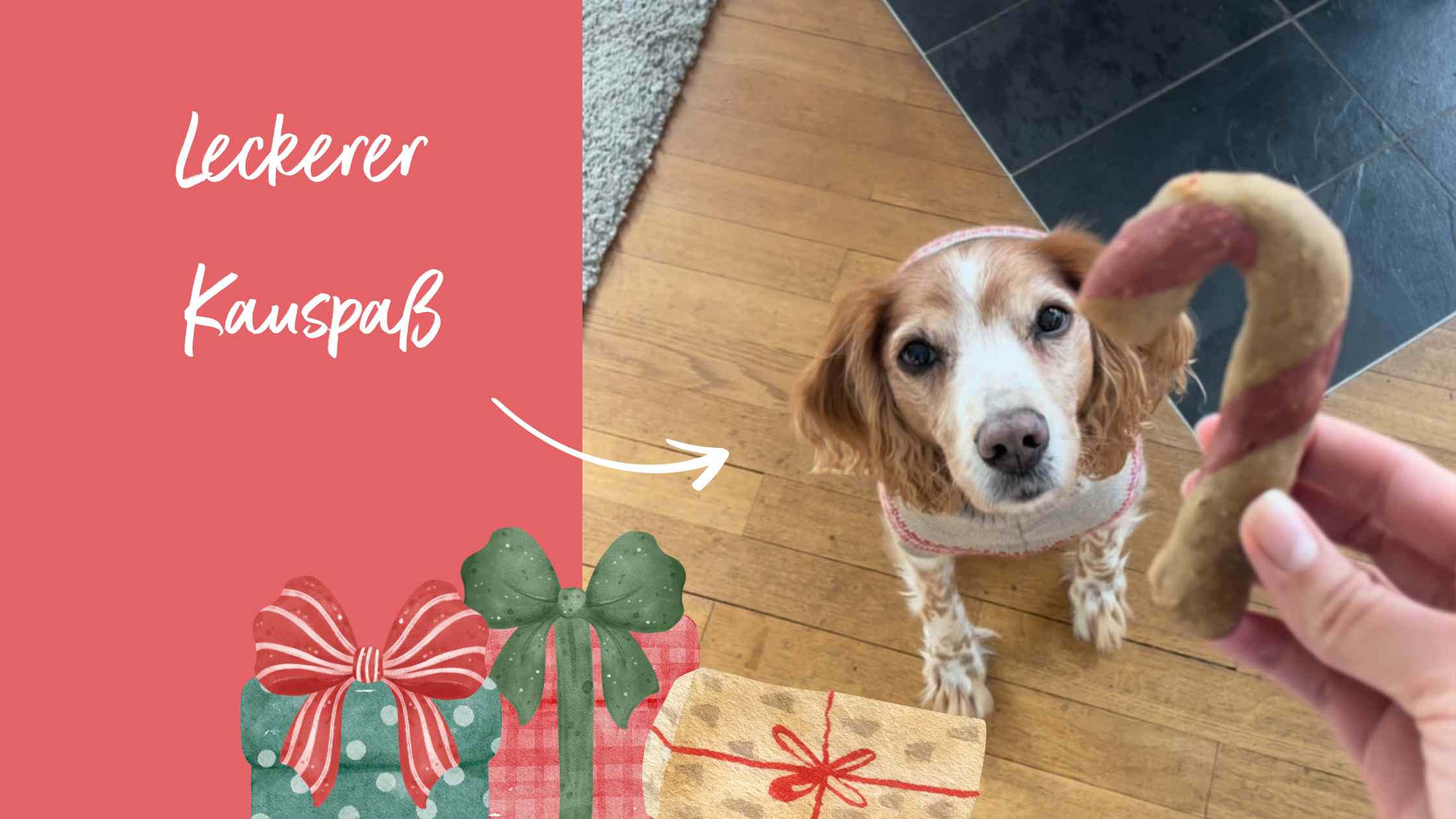 Hund frisst selbstgemacht Hundeleckerlis in Zuckerstangen Form