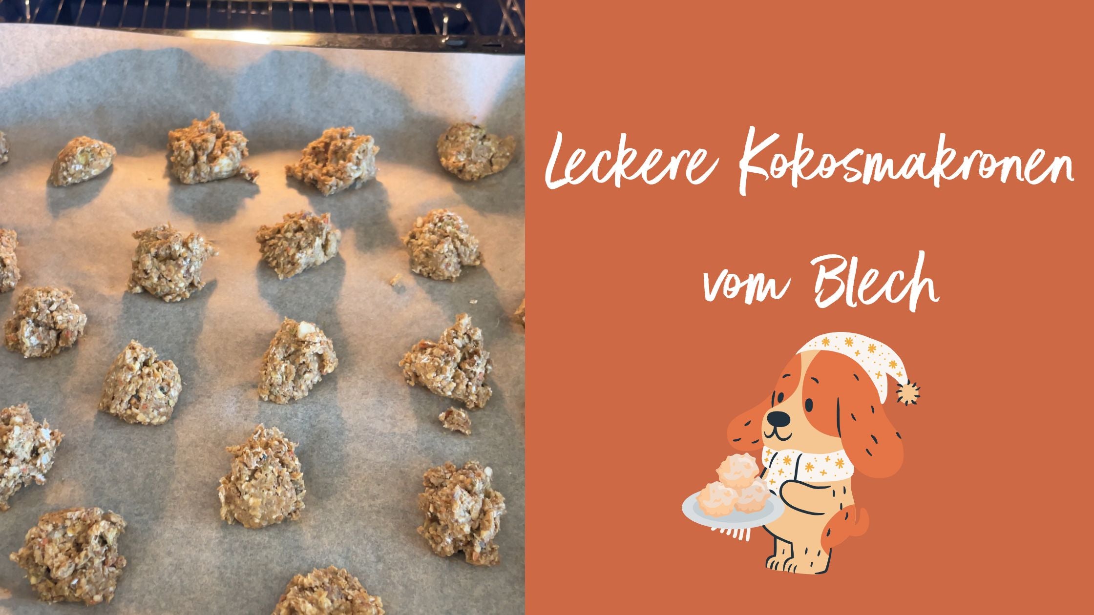 Kokosmakronen für Hunde auf einem Backblech, welches mit Backpapier ausgelegt ist. Daneben die Schrift 