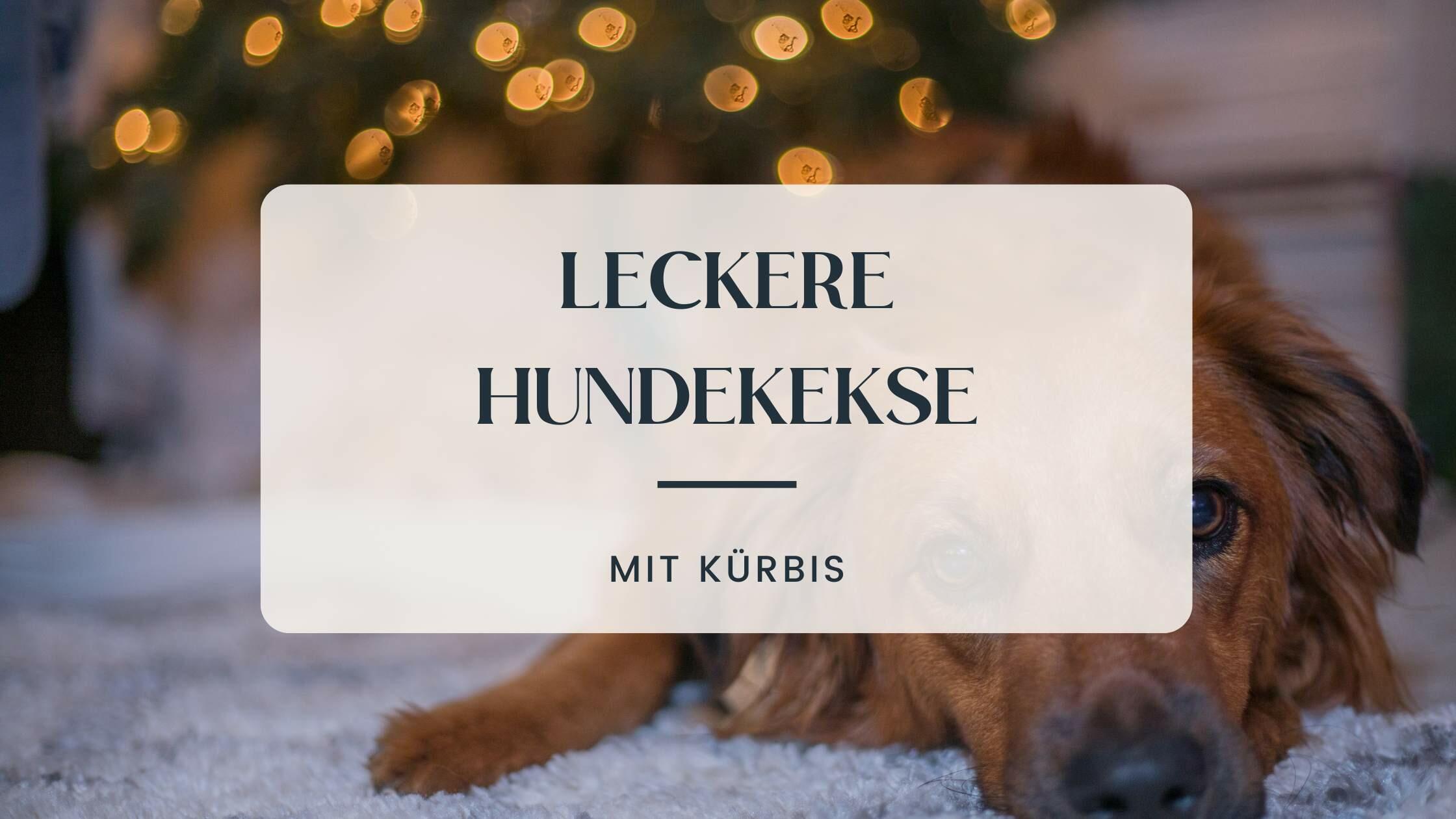 Einfache Hundekekse mit Kürbis selber machen