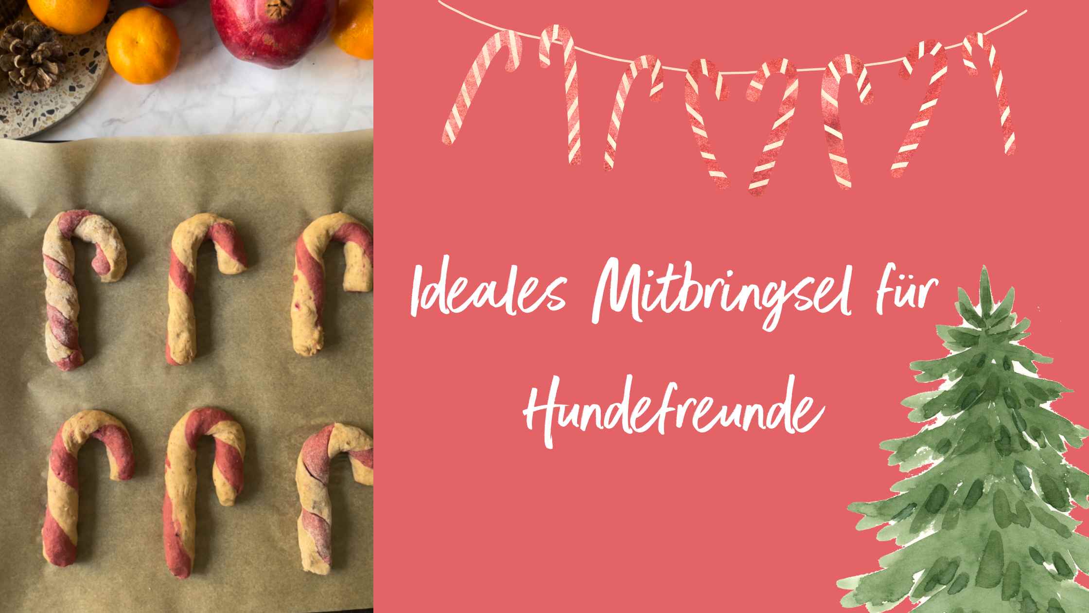 Selbstgemachte Zuckerstangen Leckerlis auf Blech